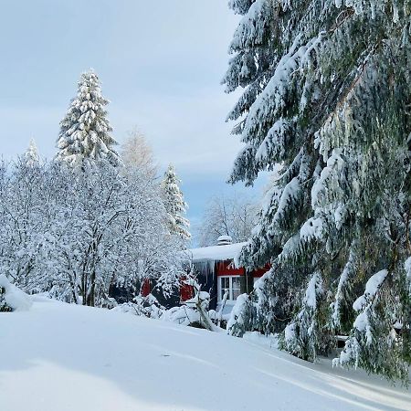 Baude Steinheid Am Rennsteig Mit 12 Betten Exteriör bild