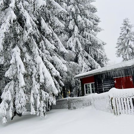 Baude Steinheid Am Rennsteig Mit 12 Betten Exteriör bild